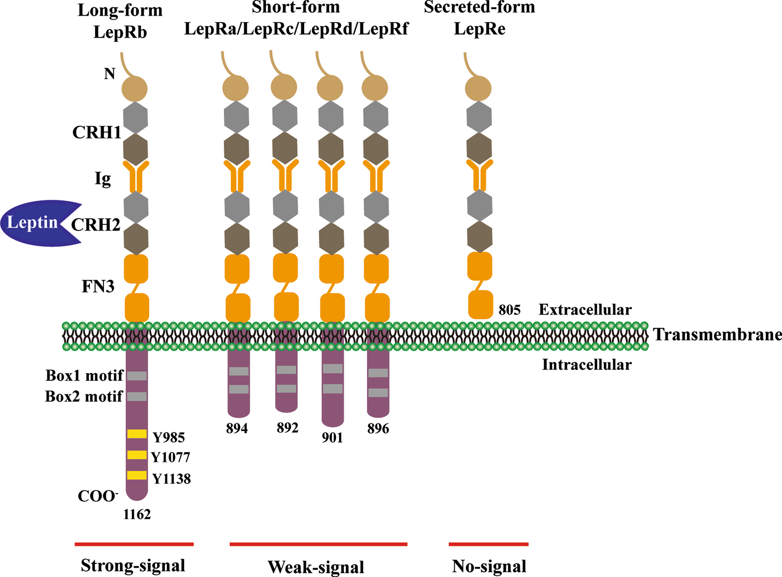 Fig. 2