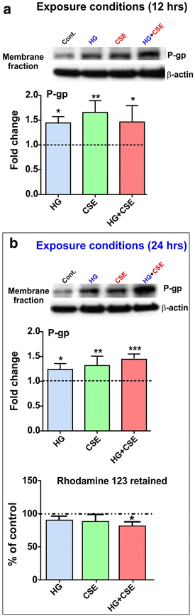 Figure 5