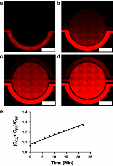 Fig. 4