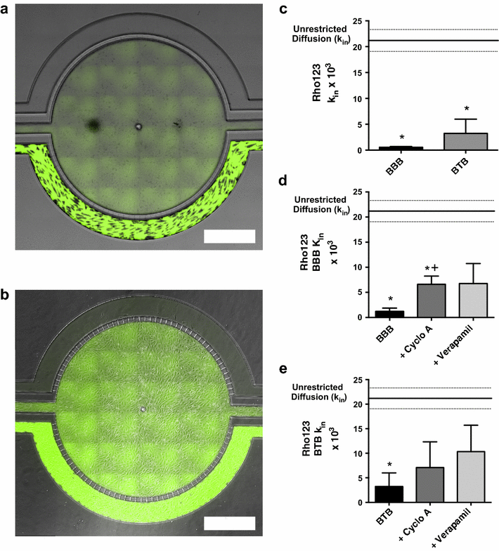 Fig. 6