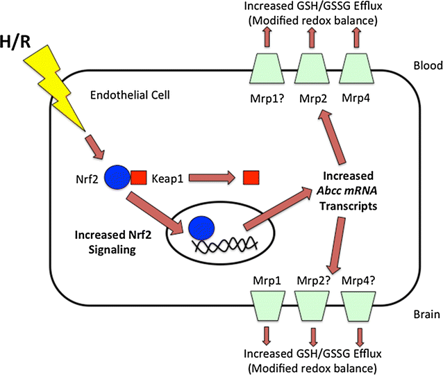 Fig. 5