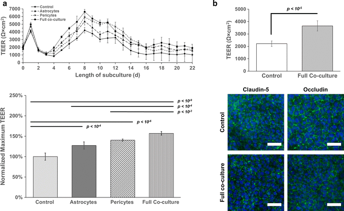 Fig. 6