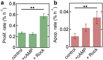 Fig. 6