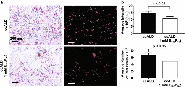 Fig. 6