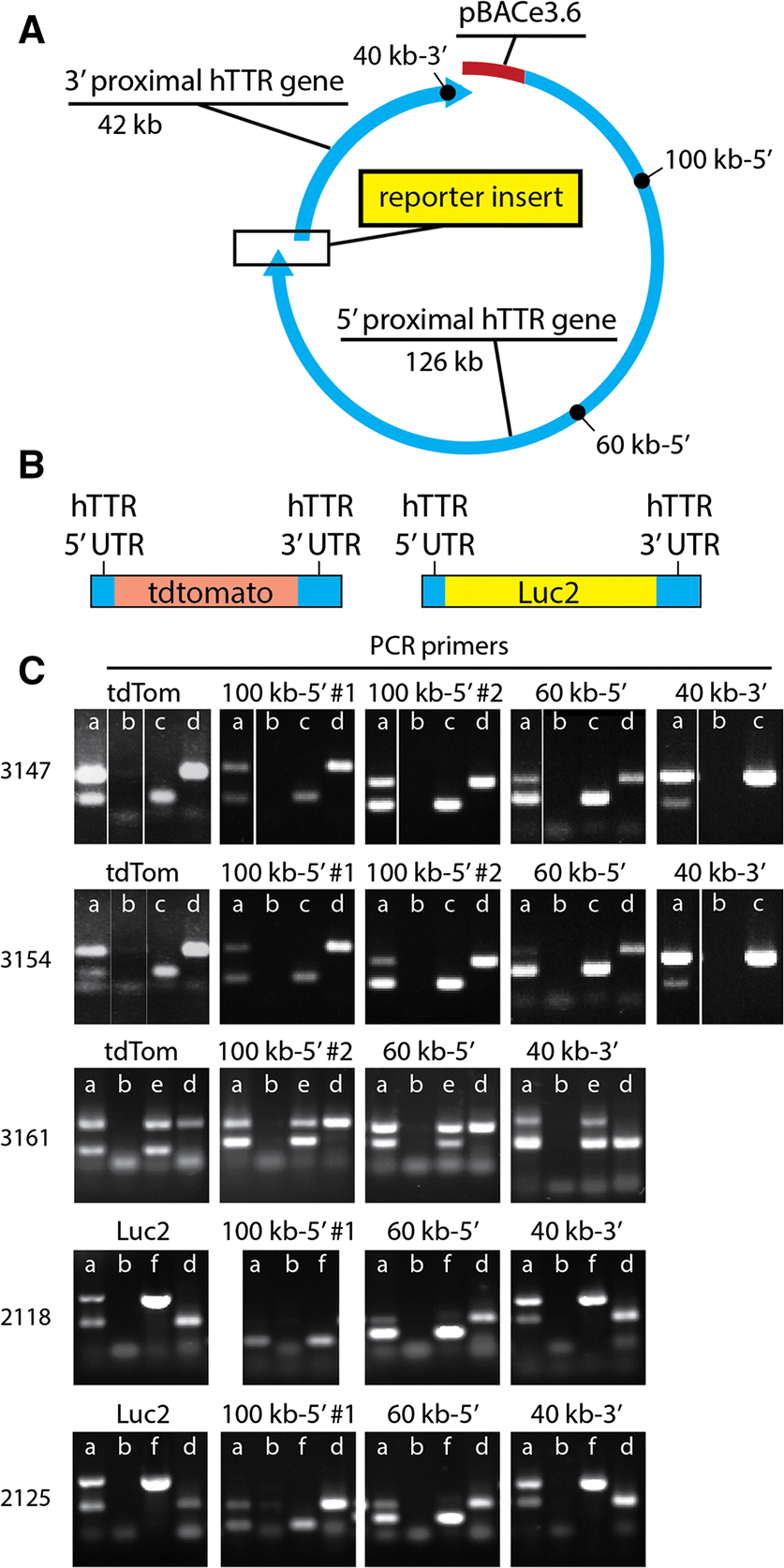 Fig. 2