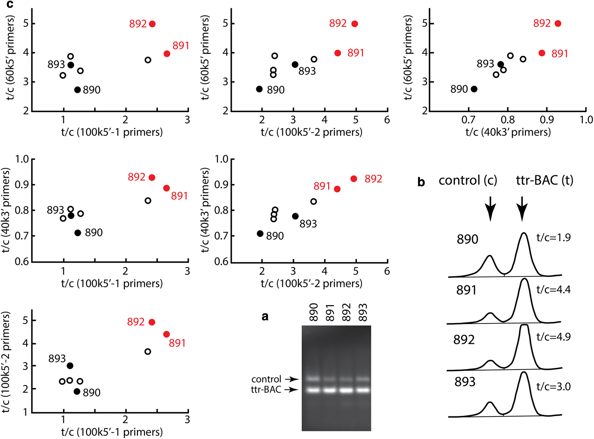 Fig. 3