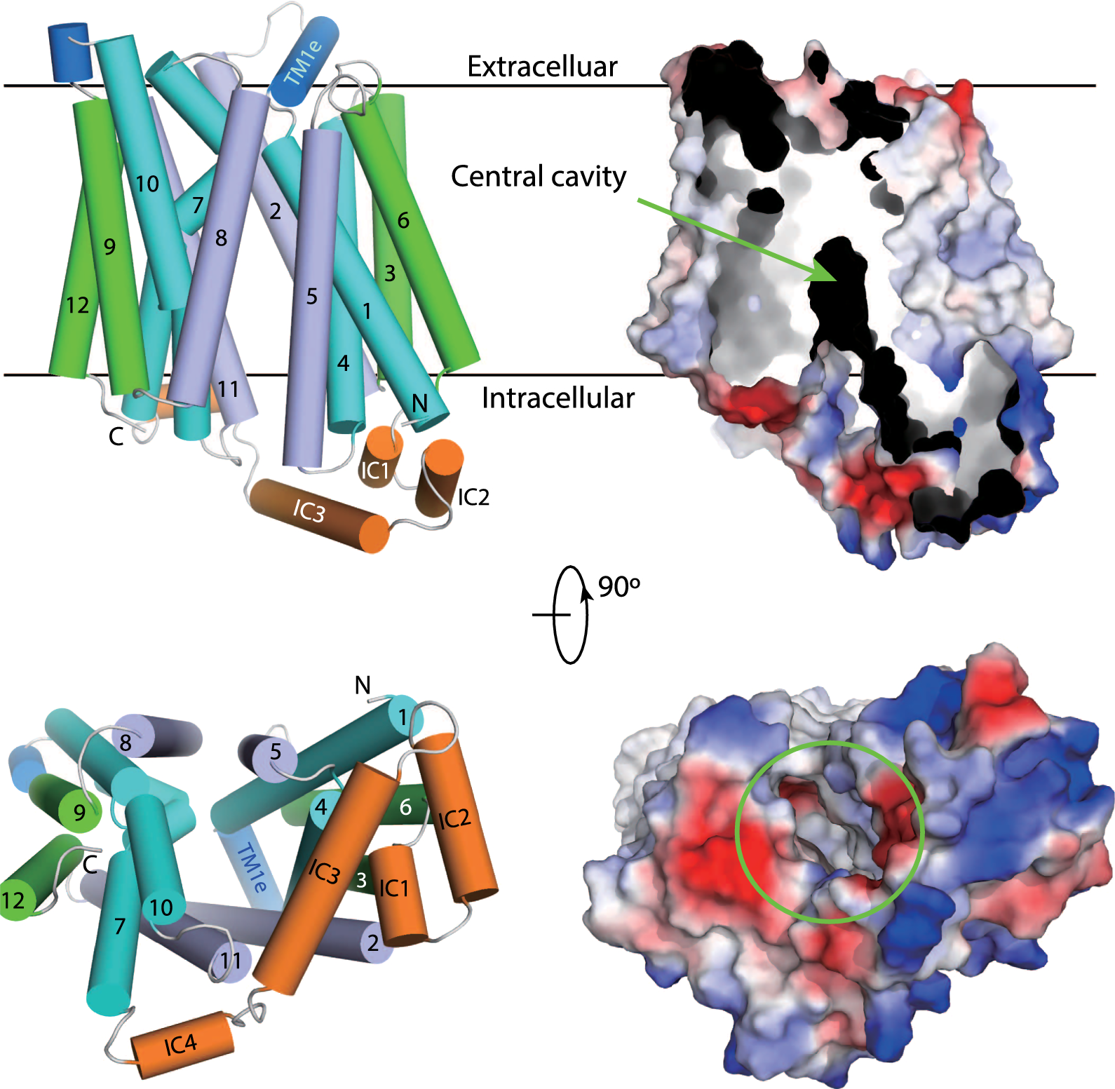 Fig. 12