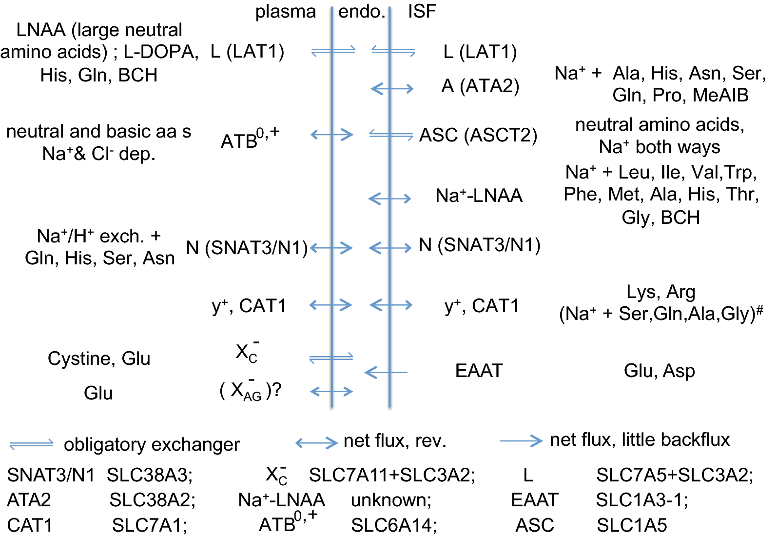 Fig. 19