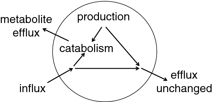 Fig. 4