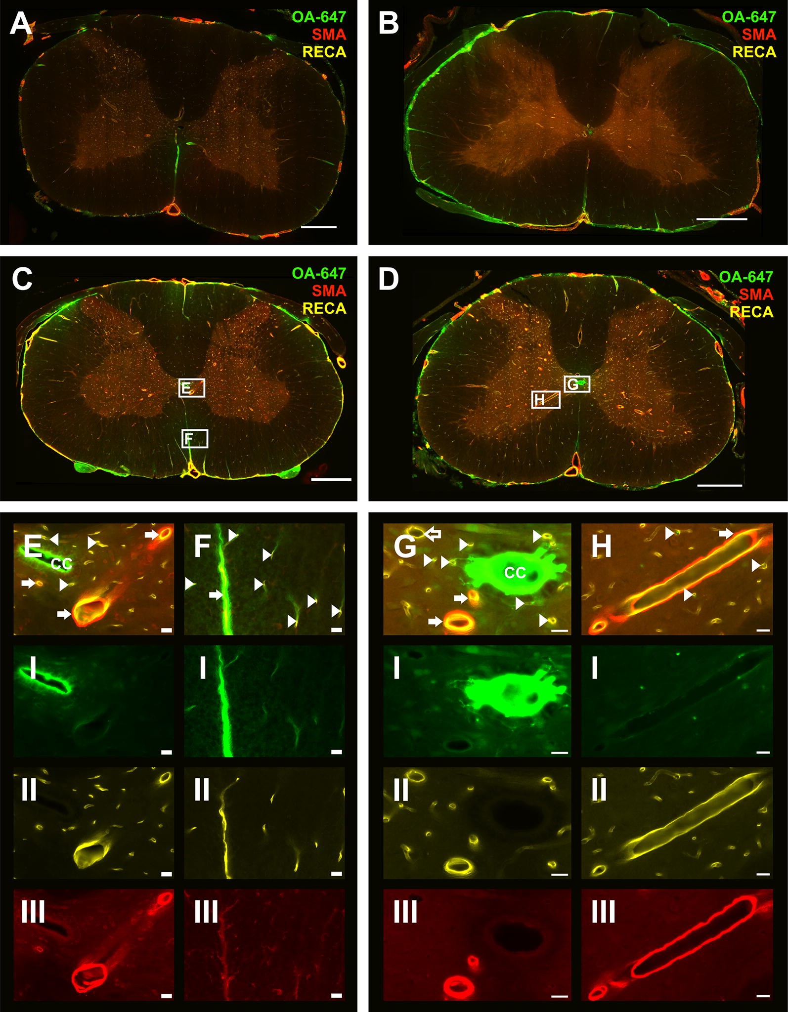 Fig. 4