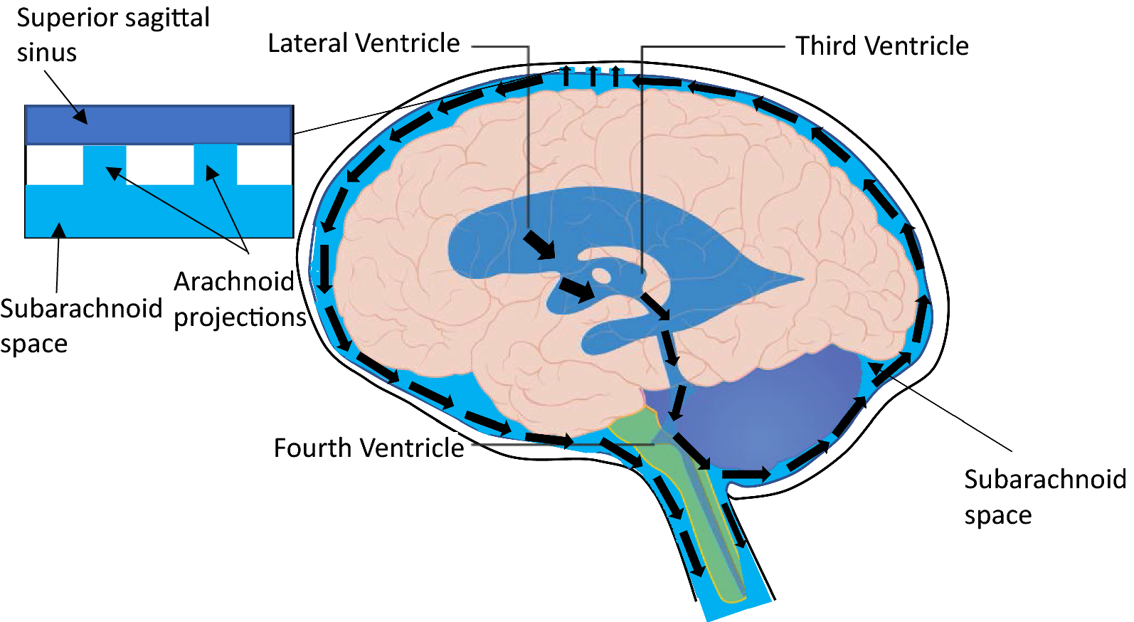 Fig. 1