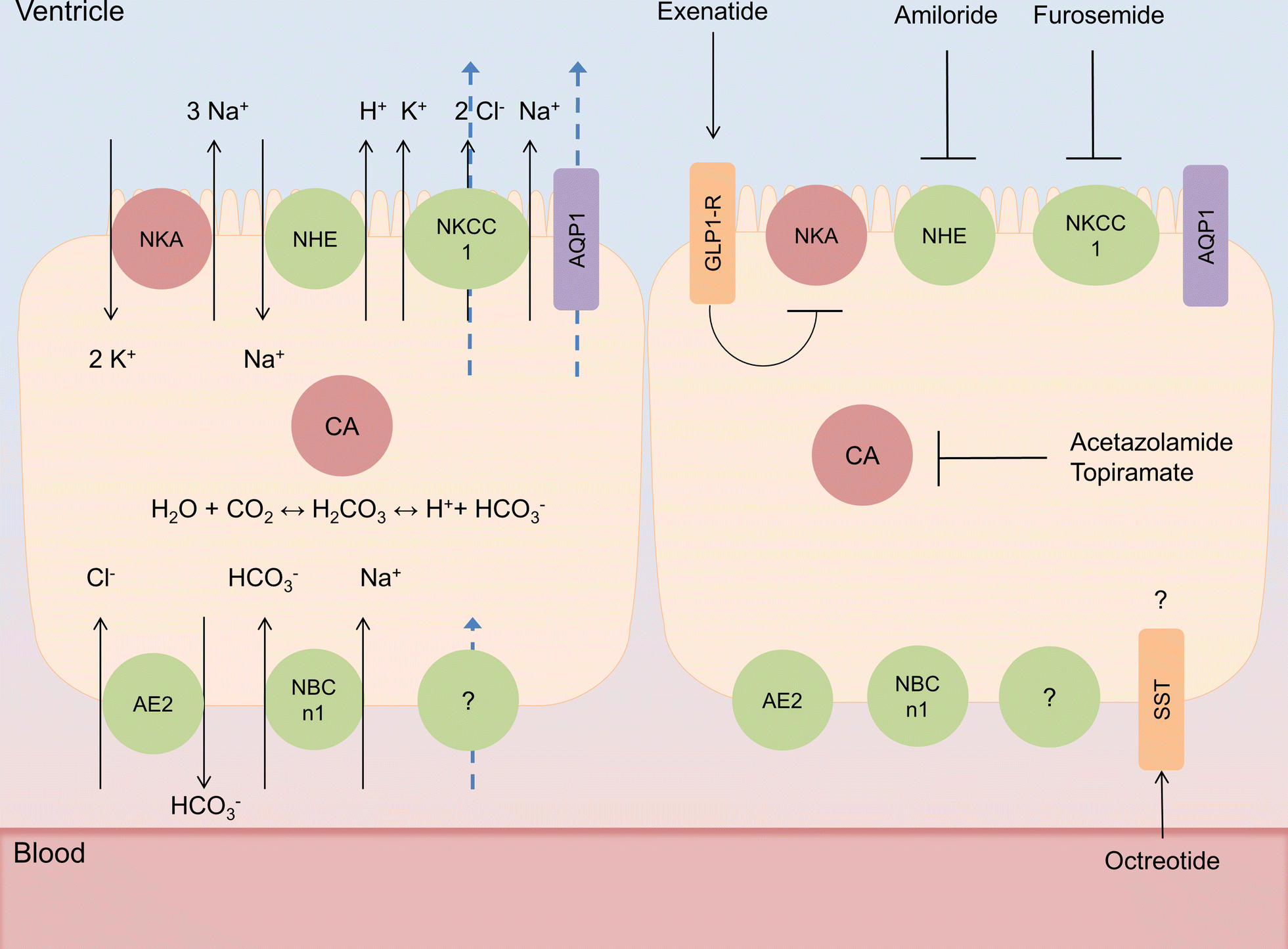 Fig. 1