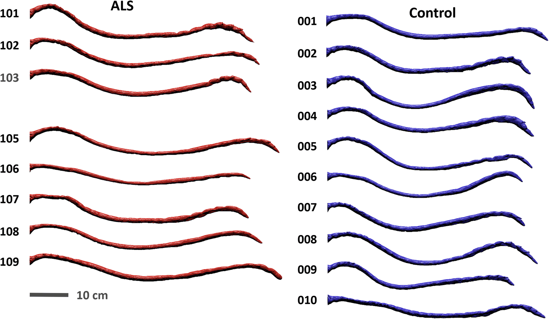 Fig. 2