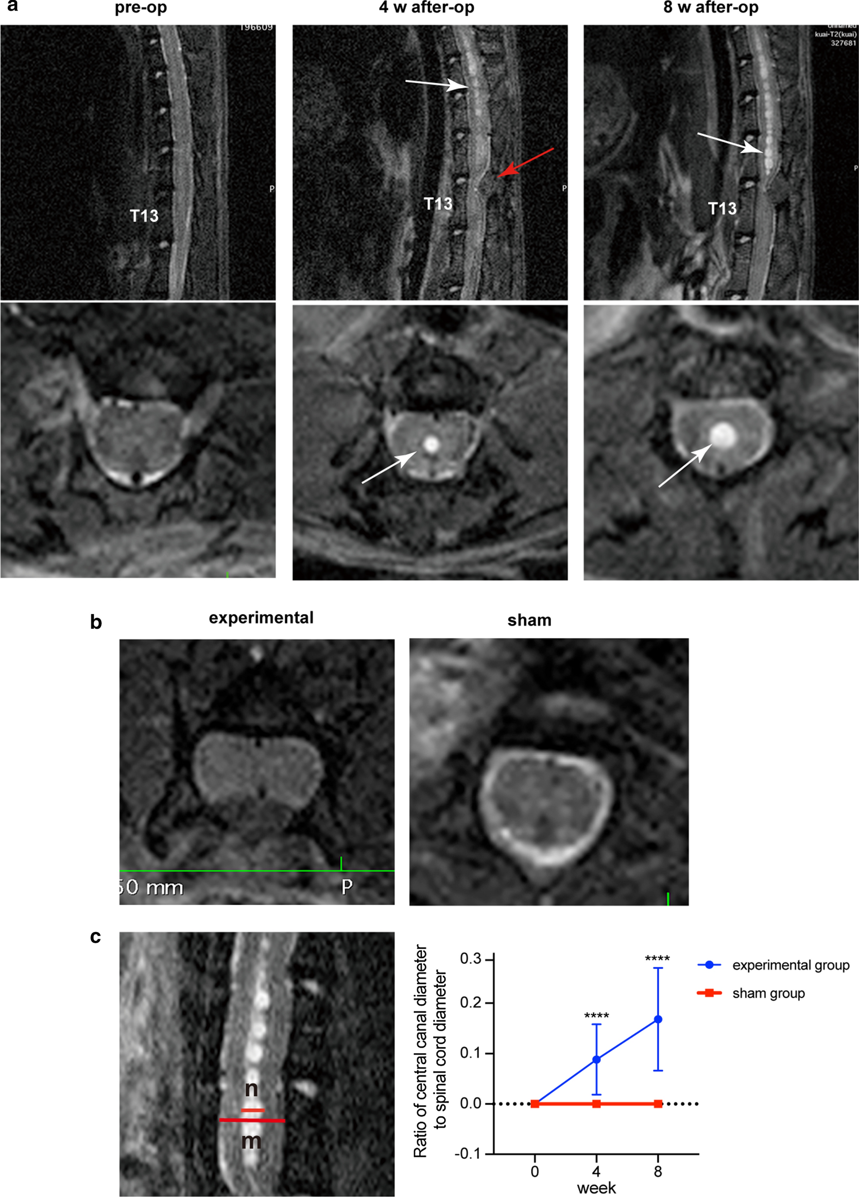 Fig. 4