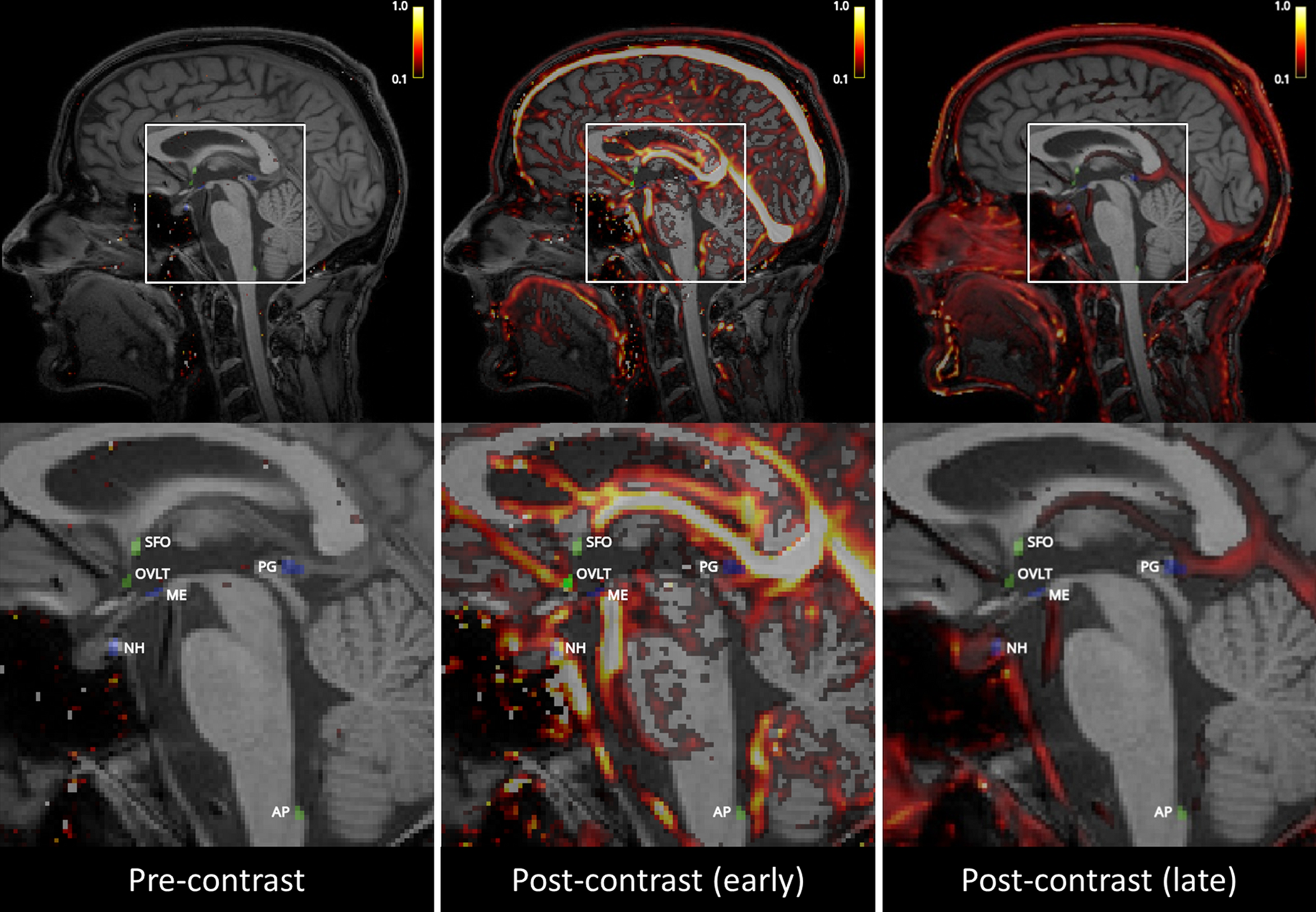 Fig. 3