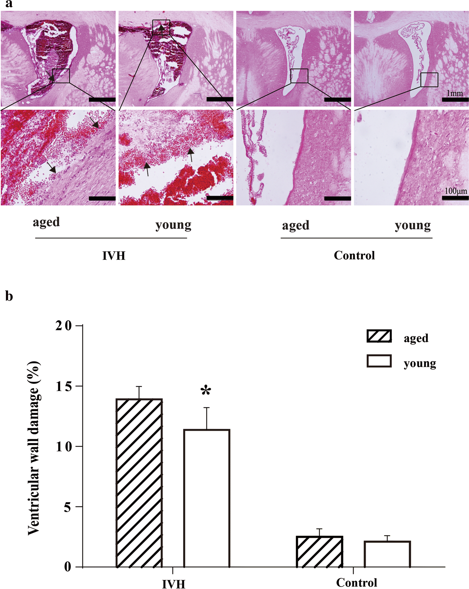 Fig. 2