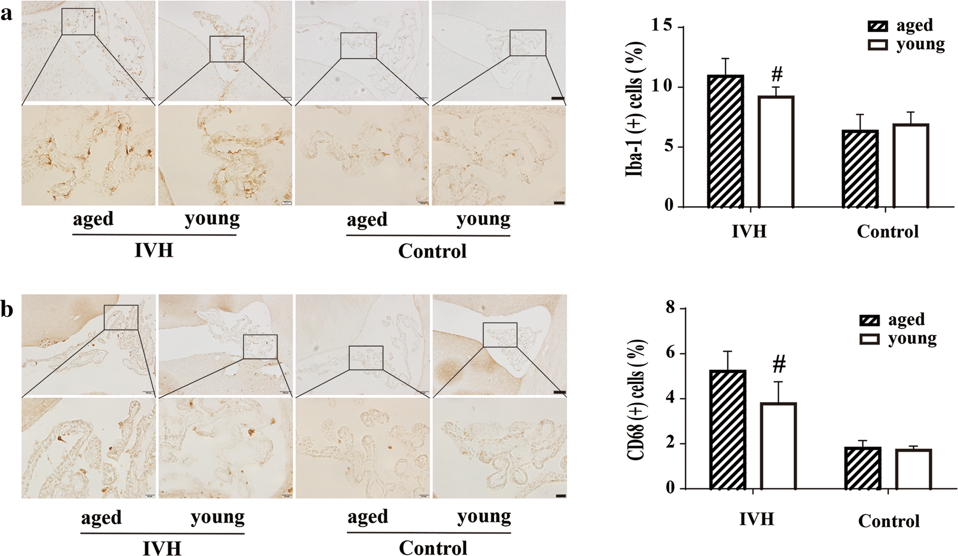 Fig. 4