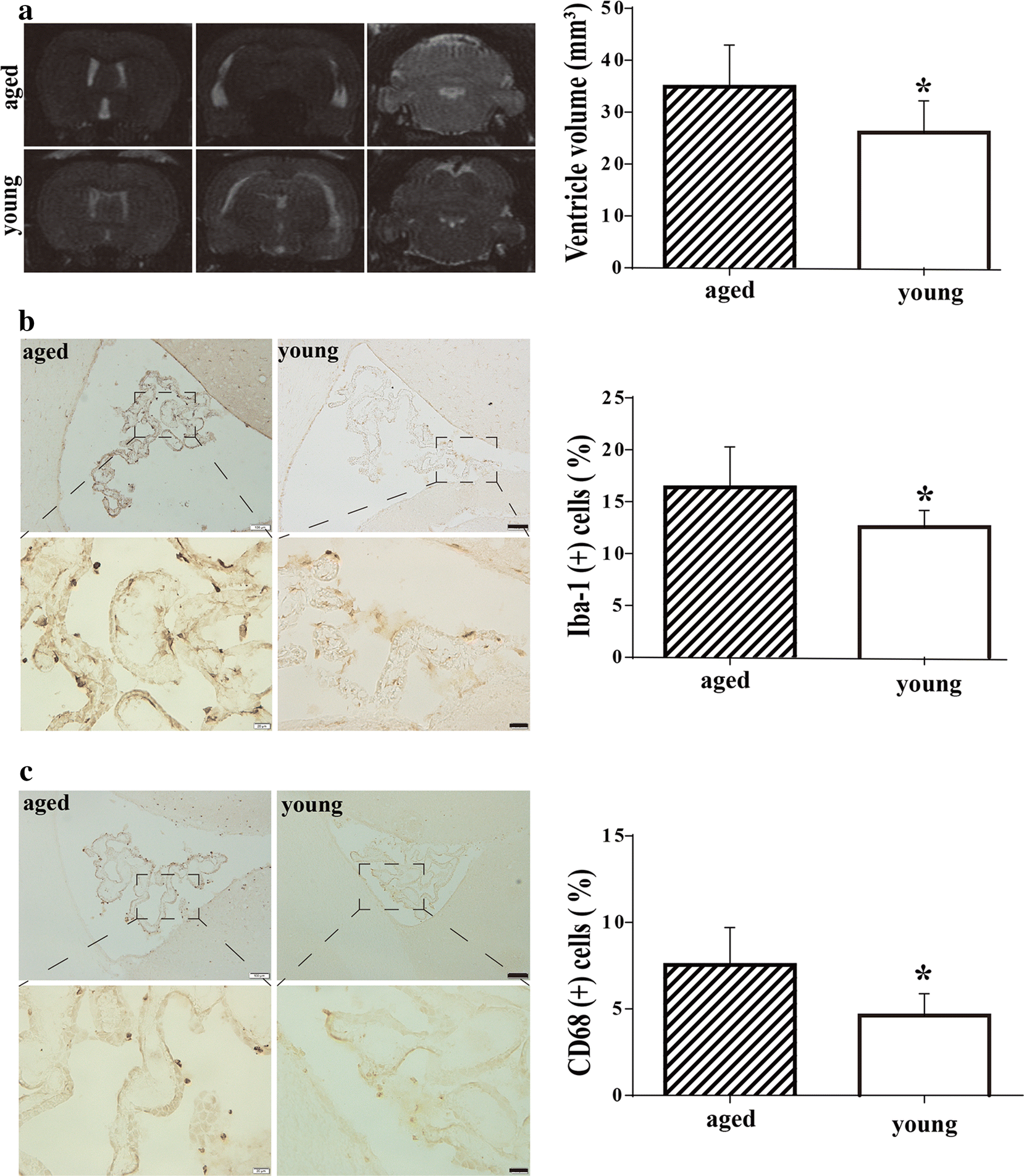 Fig. 7