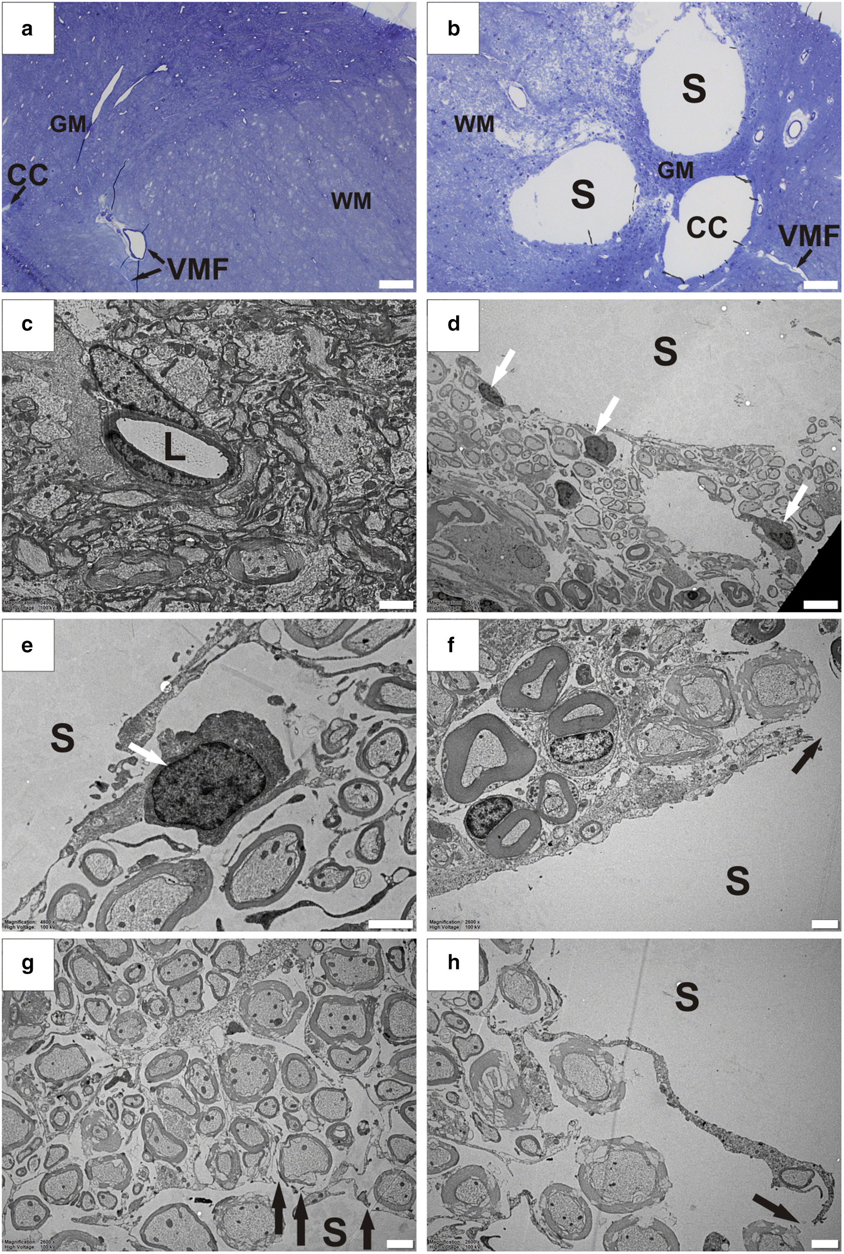 Fig. 3