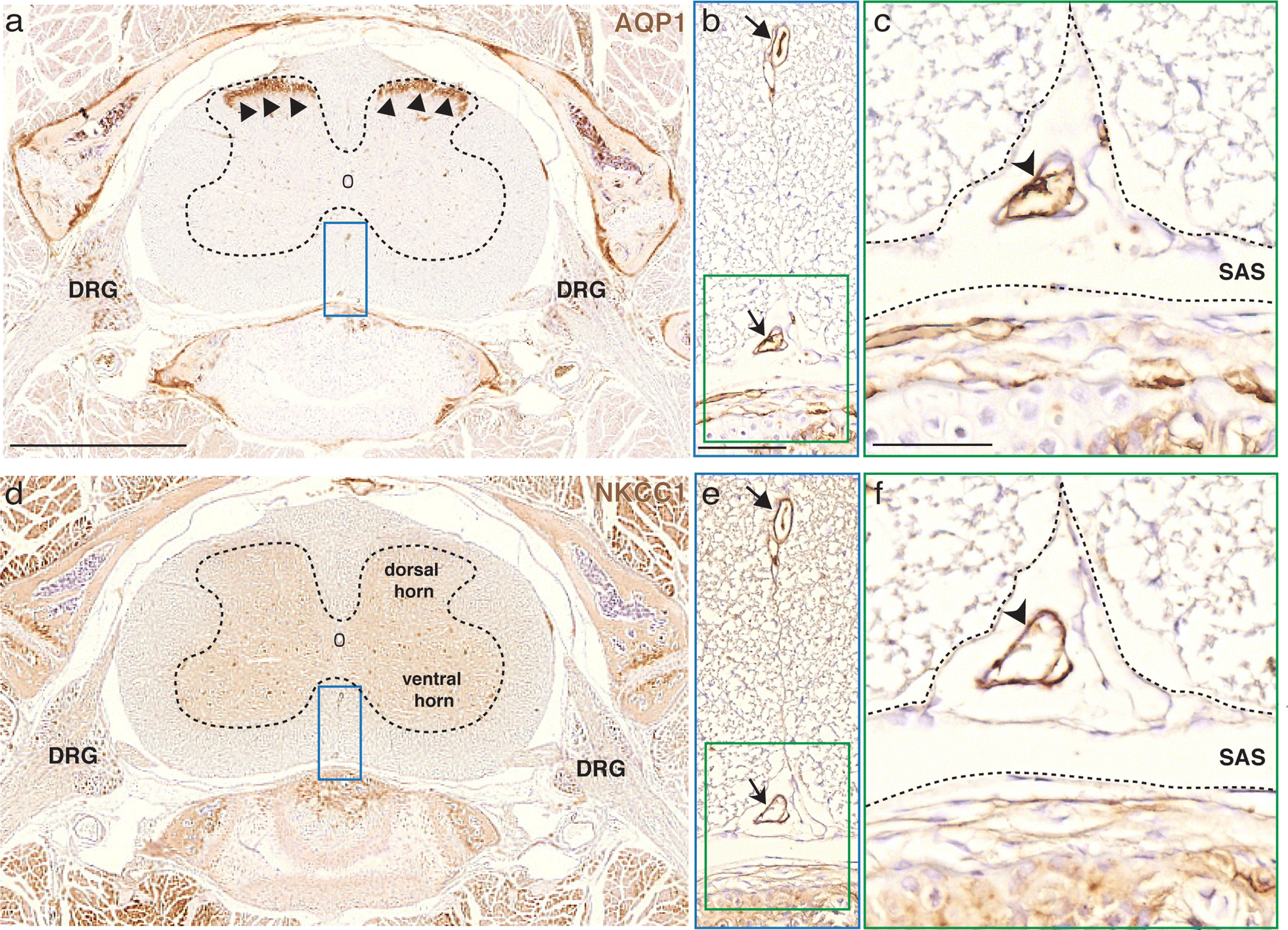 Fig. 5