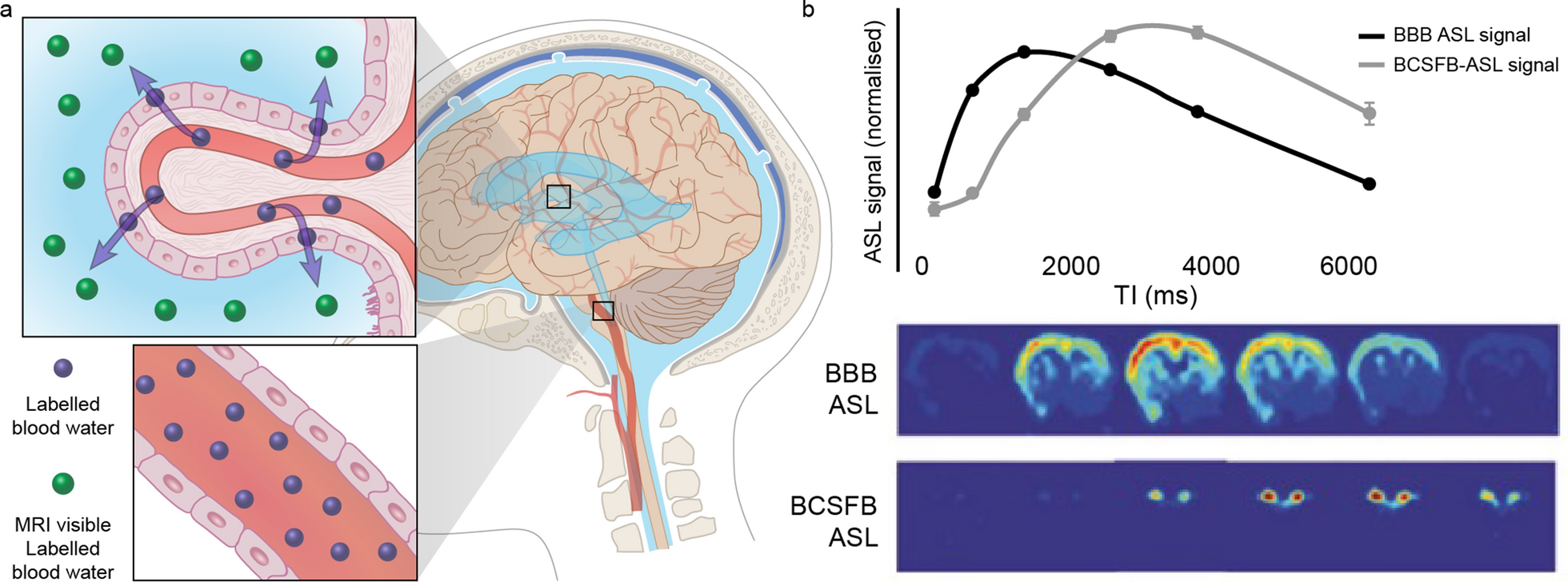 Fig. 12