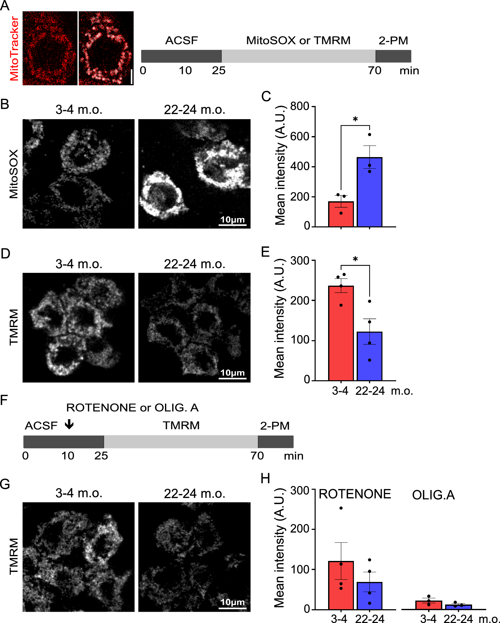 Fig. 8