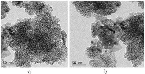 RETRACTED ARTICLE: Mechanisms of nanosized titanium dioxide-induced  testicular oxidative stress and apoptosis in male mice | Particle and Fibre  Toxicology | Full Text