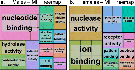 Fig. 11