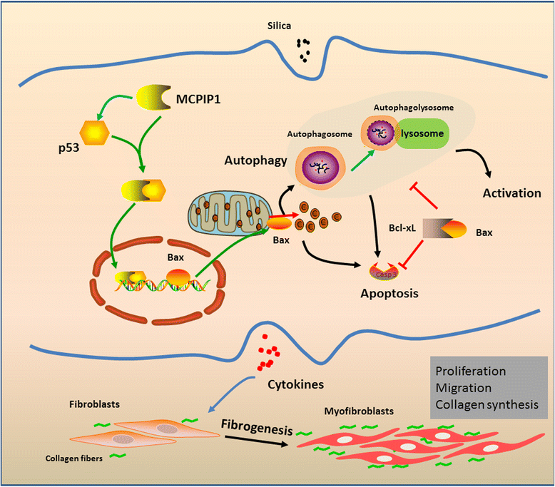 Fig. 9