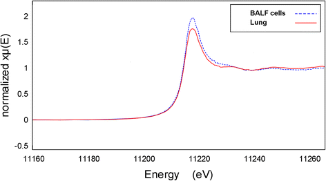 Fig. 8