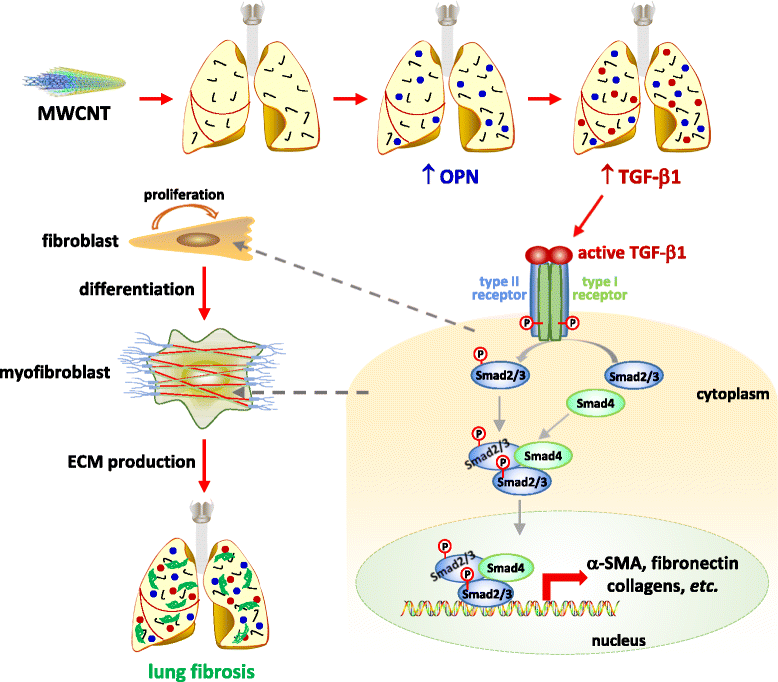 Fig. 13