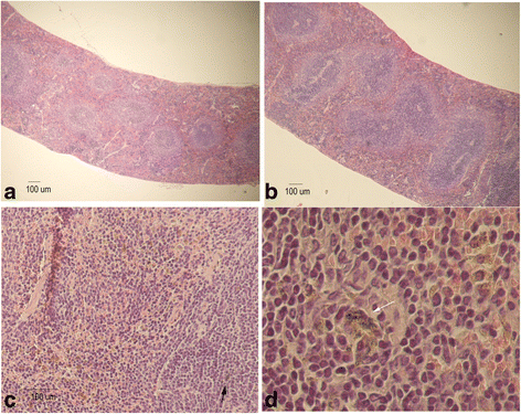 Fig. 9