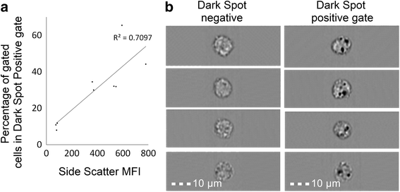 Fig. 5