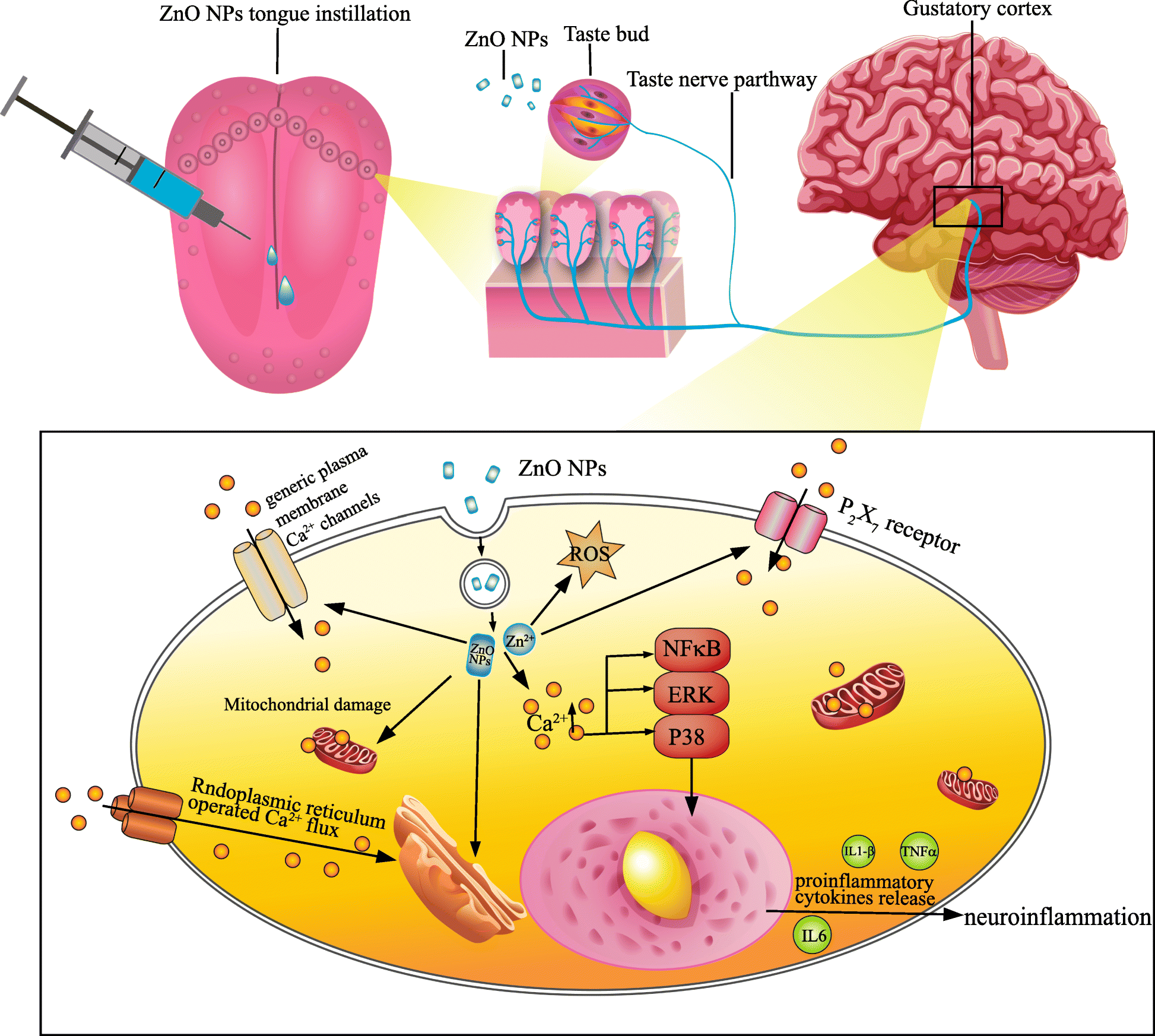 Fig. 11