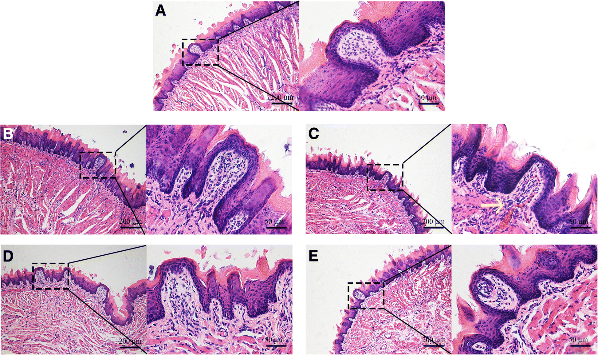 Fig. 4