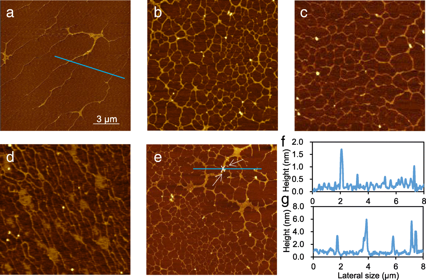 Fig. 7