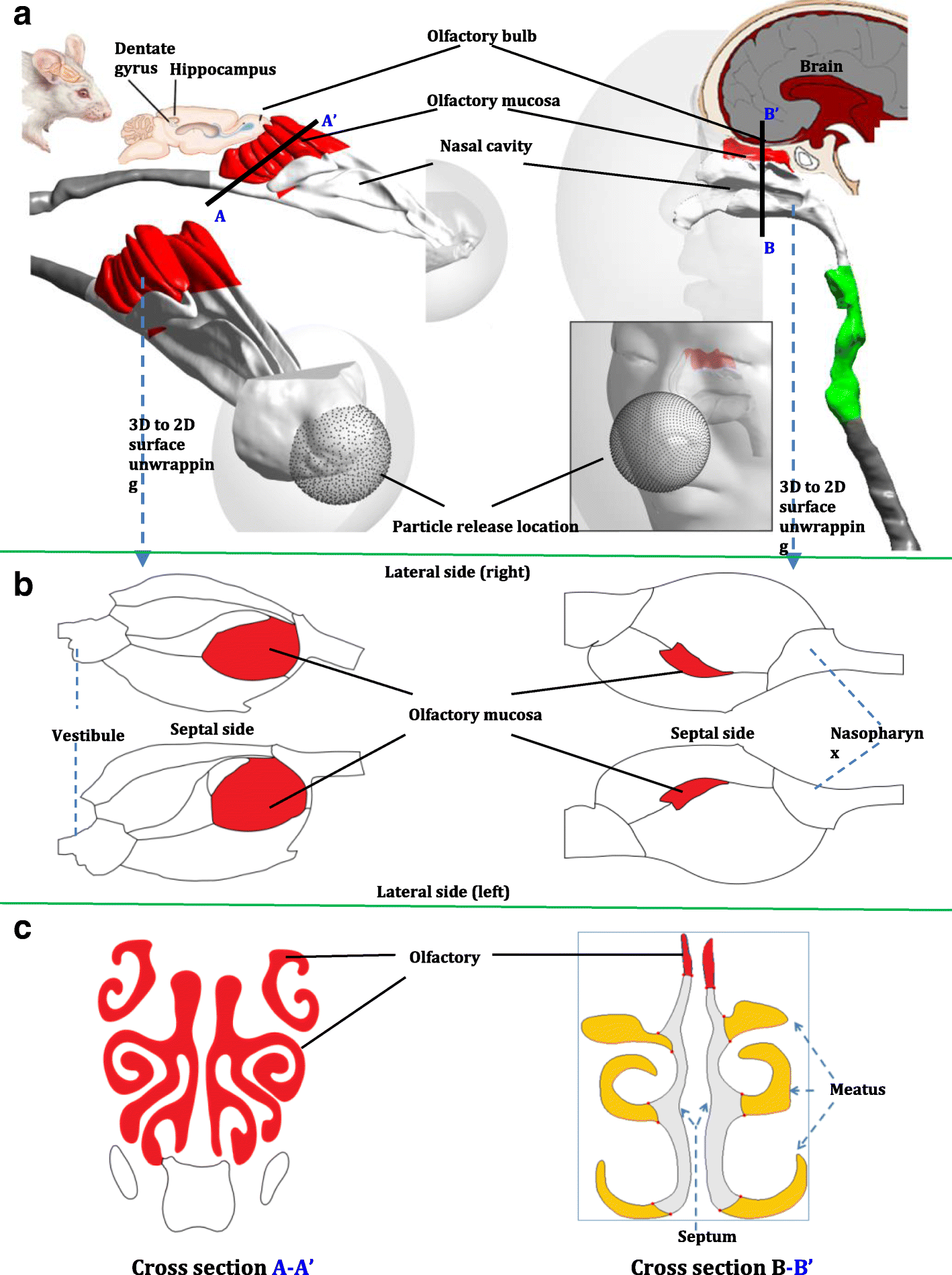 Fig. 1