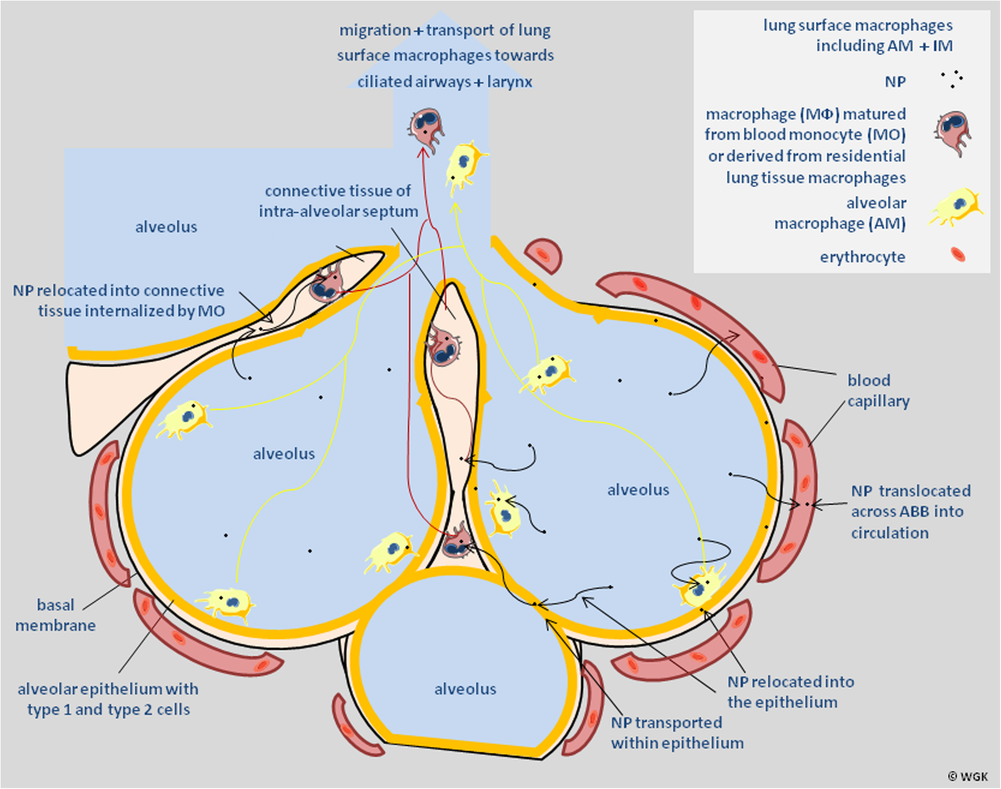 Fig. 10