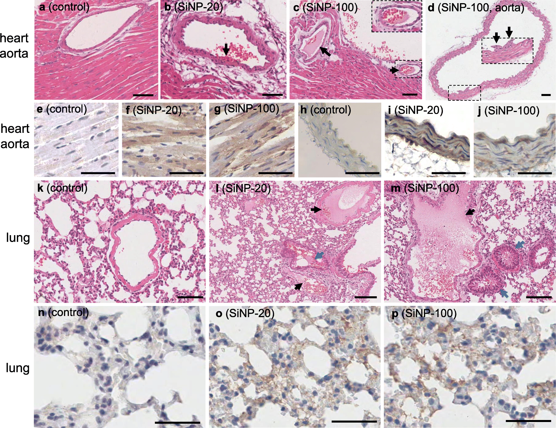 Fig. 9