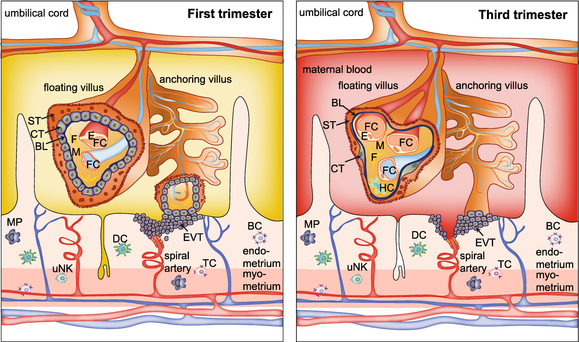 Fig. 2