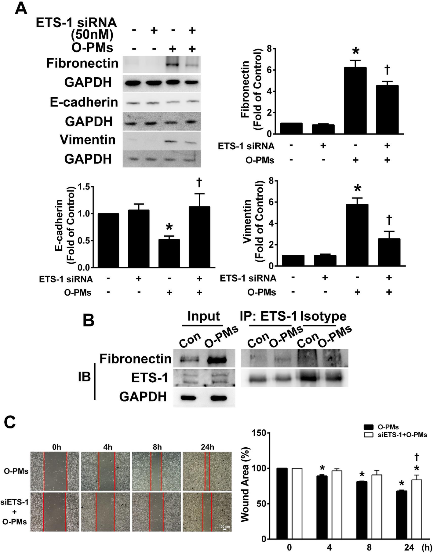 Fig. 4