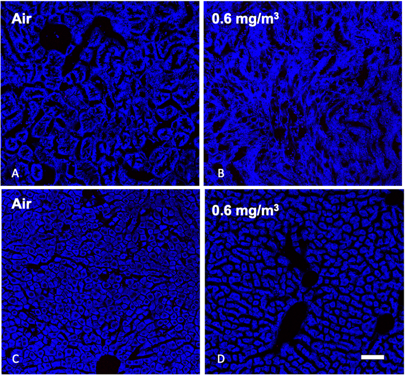 Fig. 17