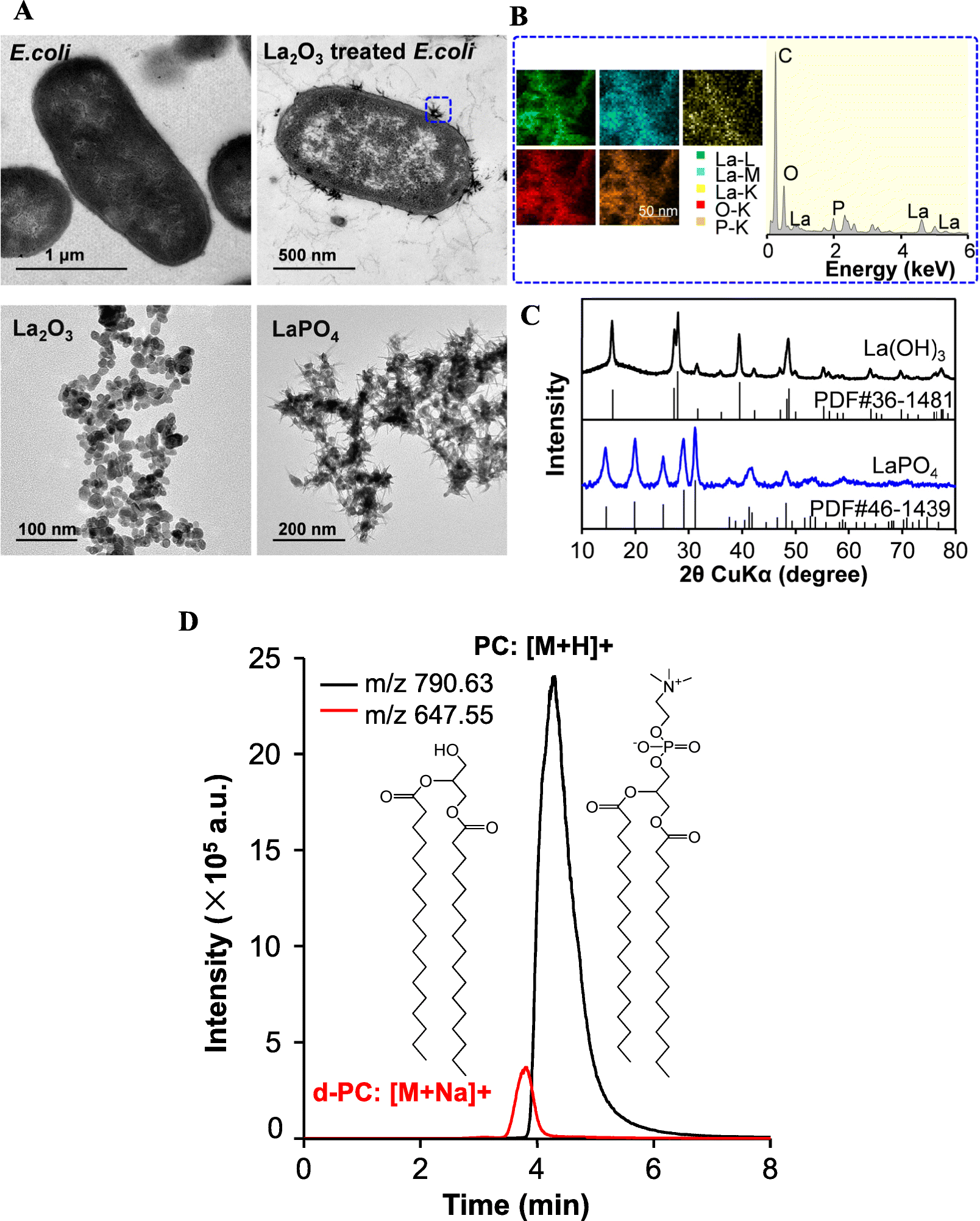 Fig. 2