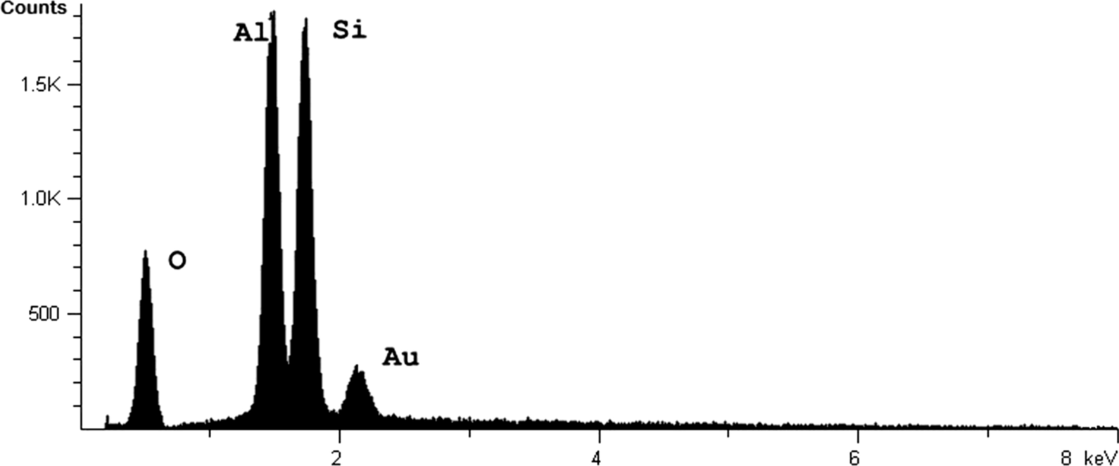 Fig. 5