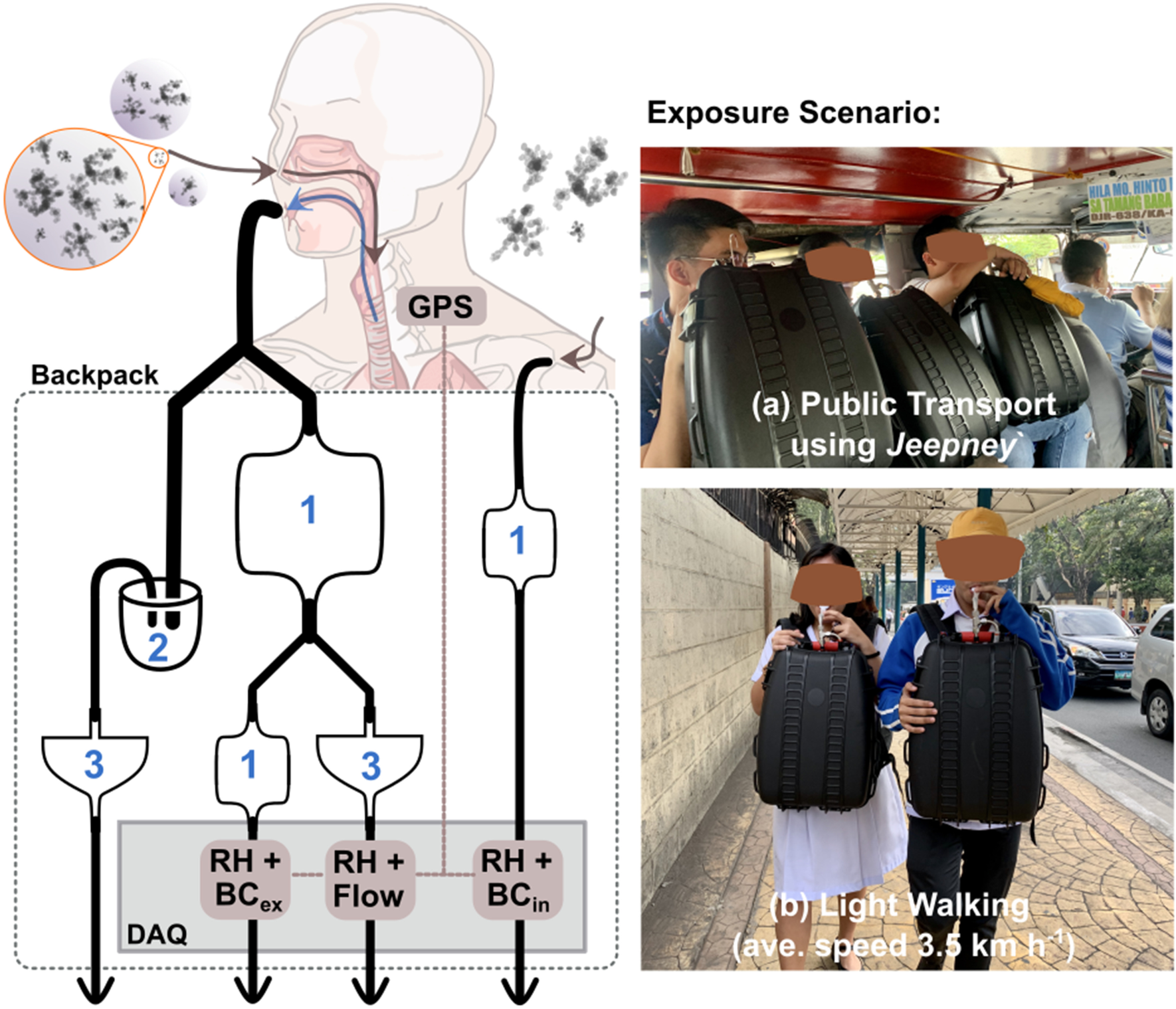 Fig. 1