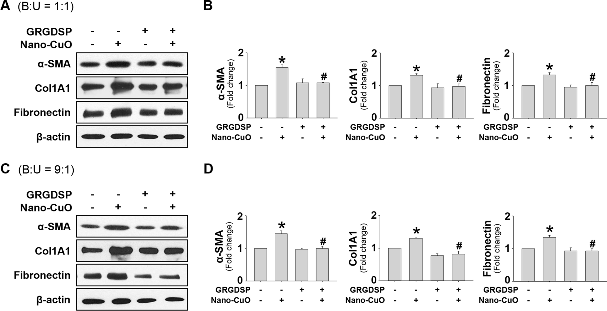 Fig. 12