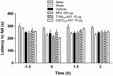 Figure 10