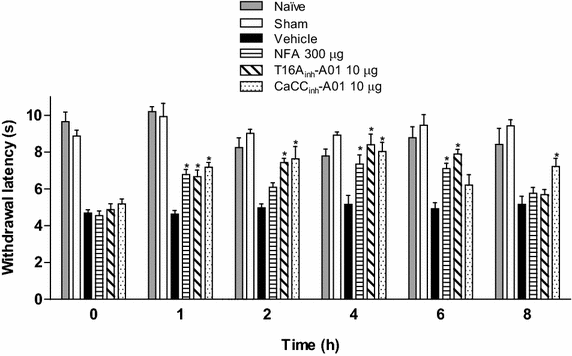 Figure 3