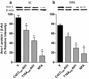 Figure 6