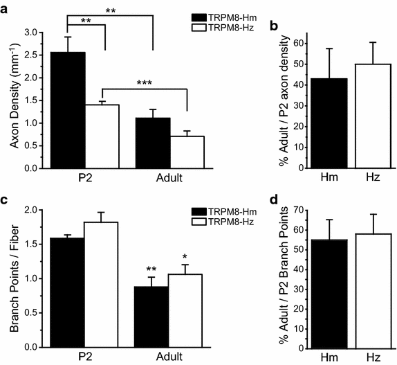 Figure 5